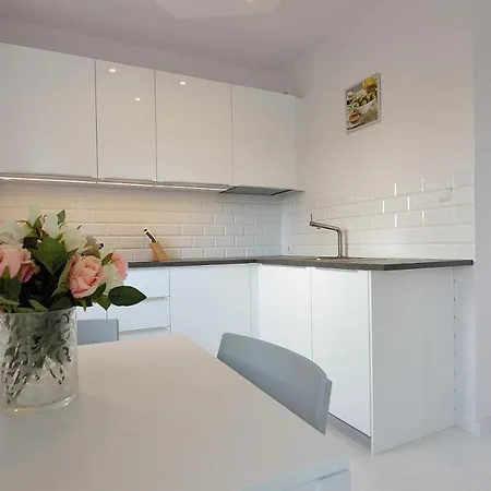 Atrakcyjne Studio Z Tarasem Victus W Sopocie By Noclegi Renters-2